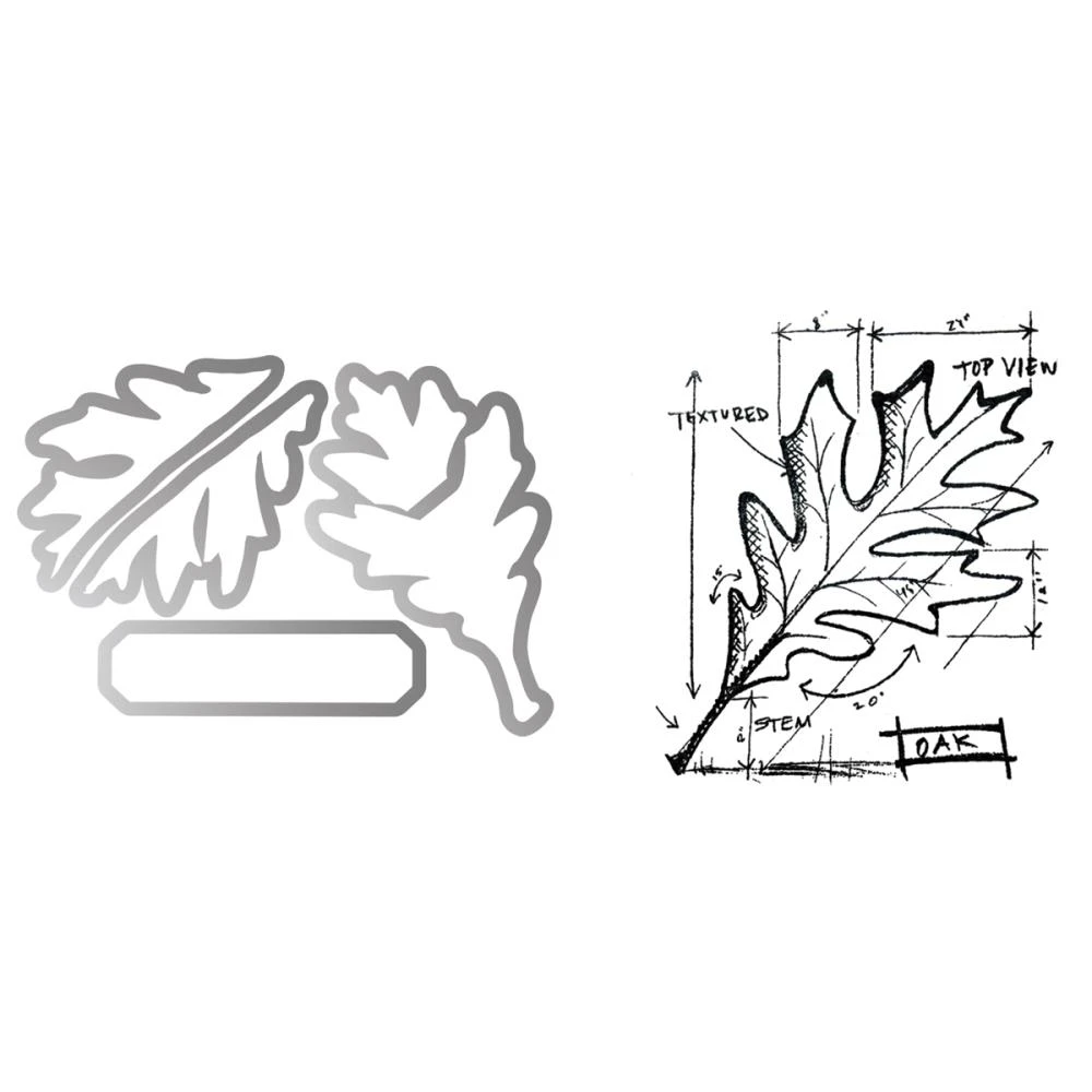 Leaf Blueprint 3 Leaf Blueprint