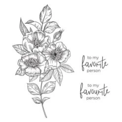 Spellbinders - BetterPress Letterpress System 9 Spellbinders - BetterPress Letterpress System -Bürobedarf Geschäft spellbinders betterpress letterpress system bp 001 3