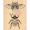 Florilèges Design - Tampon Bois INSECTES MYSTIQUES 1 Florilèges Design - Tampon Bois INSECTES MYSTIQUES -Bürobedarf Geschäft tampon bois insectes mystiques