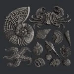 Zuri - Treasures Of The Sea